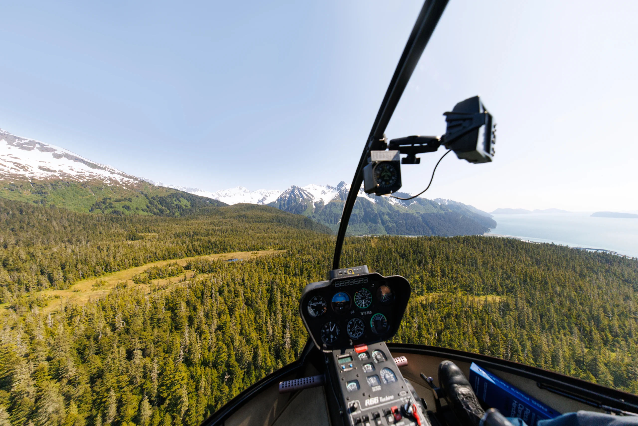 Wildlife Tracking