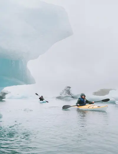 Alaskan Wildlife Exploration